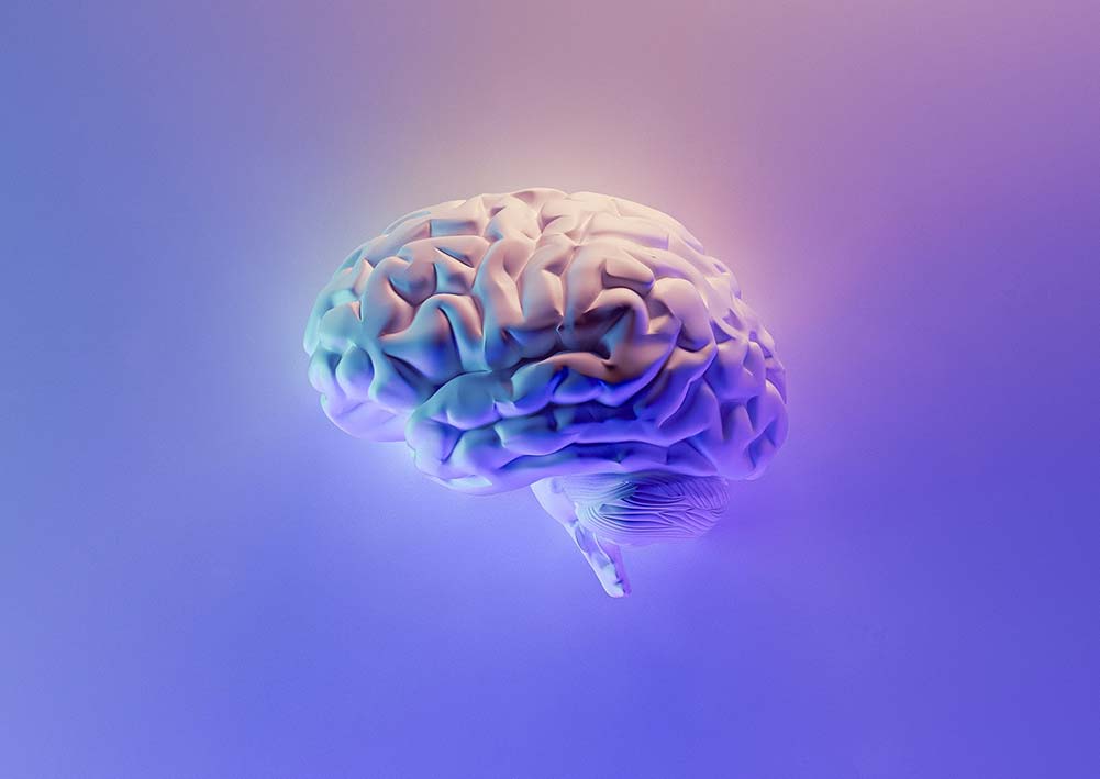 Jan Vinkler neuroscience brain health